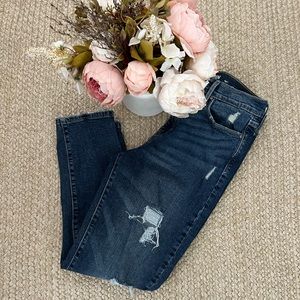 Denizen Levi Jeans